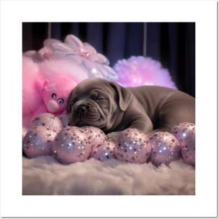 Sleeping Cane Corso Posters and Art